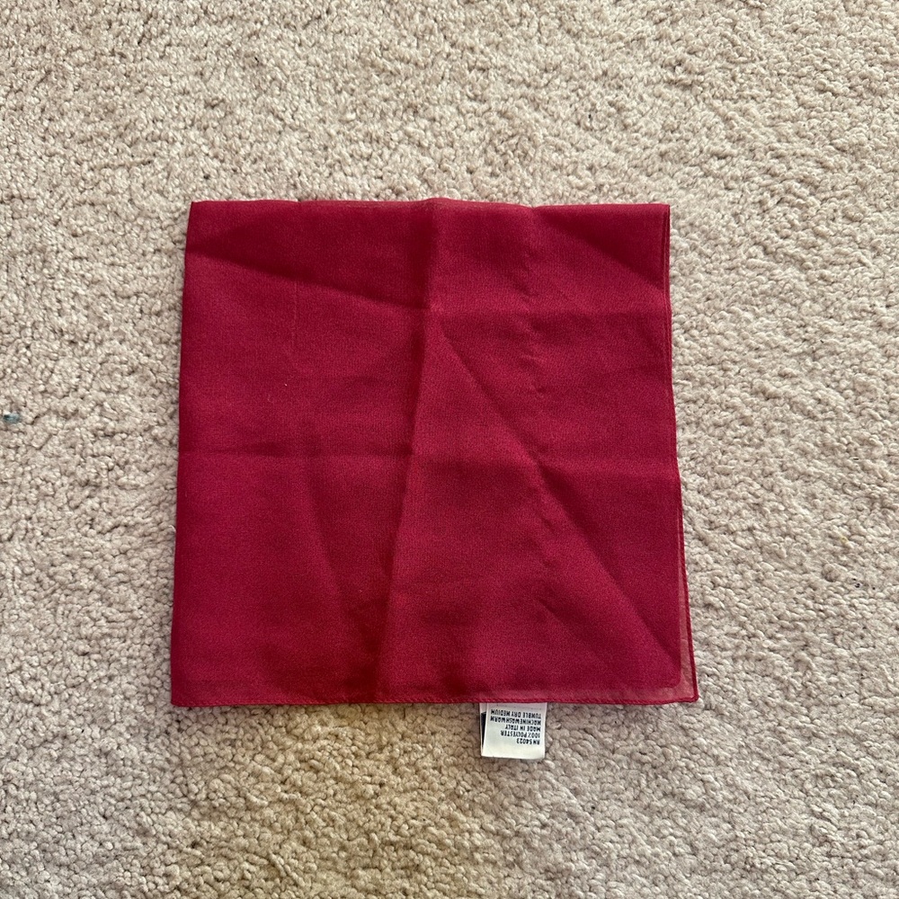 Gap Transparent Dark Rose Pink Scarf